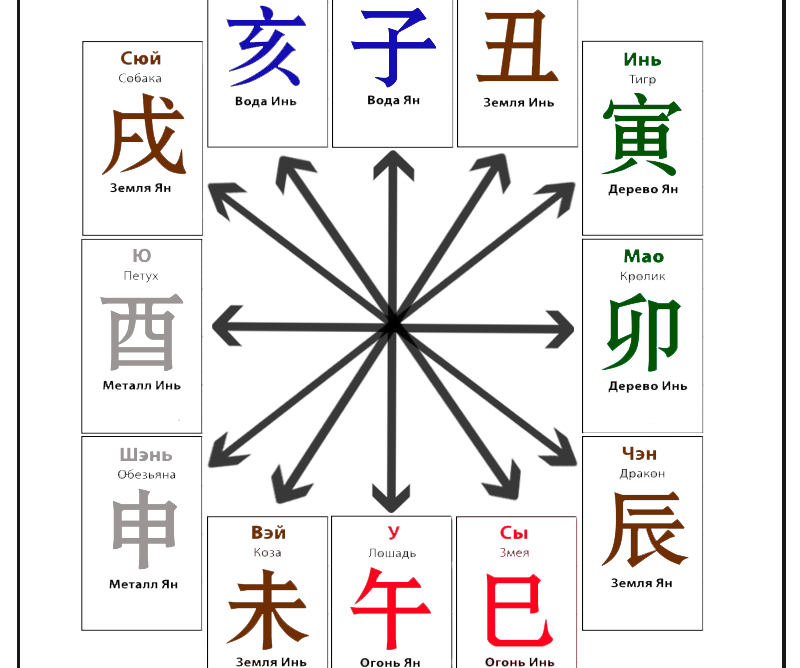 Взаимодействие 12-и животных - Земных Ветвей